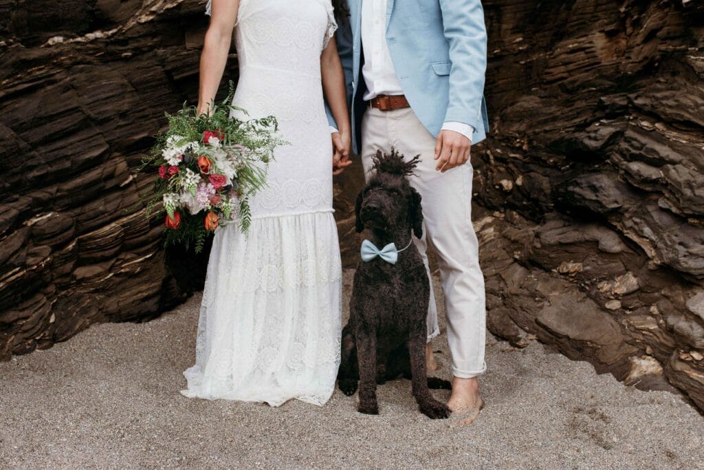Perché un dog sitter per matrimonio è il miglior alleato del tuo fotografo 4 dog sitter per matrimonio, Perché un dog sitter per matrimonio è il miglior alleato del tuo fotografo